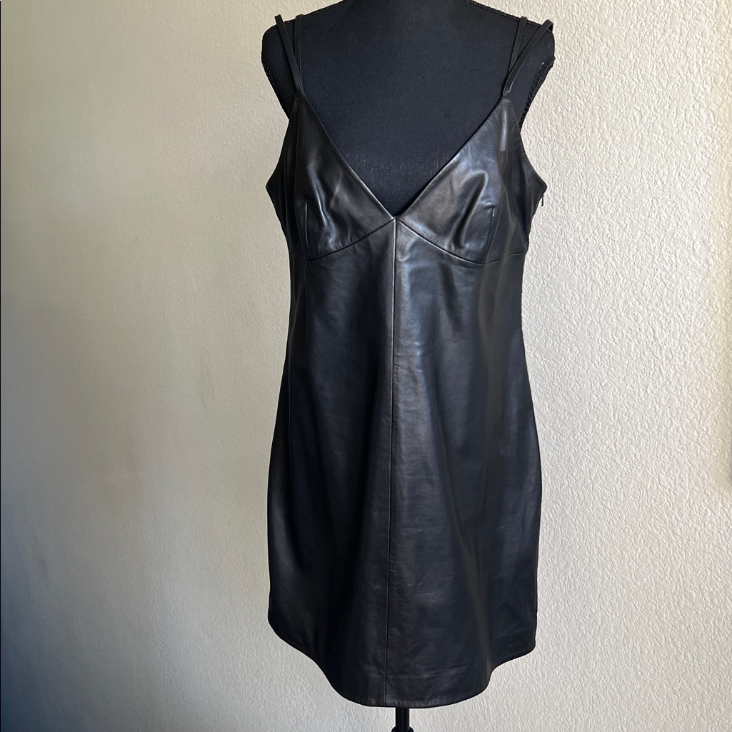 All Saints Sloane Leather Mini Slipdress (Nwt), Size 8